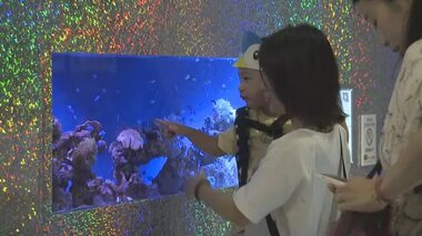 カラフルな海の生き物が集結！岡山市のデパートで１３５０匹の生き物集めたイベント【岡山】