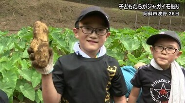 阿蘇市波野で子どもがジャガイモ掘り【熊本】