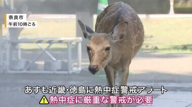 「39.9度」奈良・十津川で過去最高気温を記録　猛暑の近畿・徳島「明日」も「熱中症警戒アラート」発表