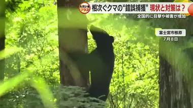 捕獲したクマを山に返すのはなぜ？ 錯誤捕獲相次ぐ　猟友会の苦悩「放しても戻ってくる。駆除も視野に」