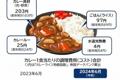 「カレーライス物価」過去10年で最高値　円安や猛暑の影響で