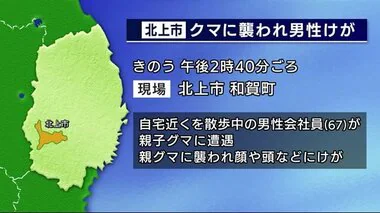 クマに襲われ男性が顔や頭などにけが　散歩中に親子グマに遭遇　岩手・北上市　