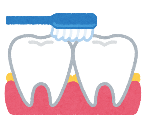 自分自身が外科医のつもりで　歯磨きとは歯垢＝細菌の塊を取り除く「外科手術」