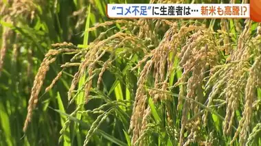 ”令和のコメ騒動”生産者側にも届く“コメ不足”の声…JAは農家への“仮渡し金”大幅増額　新米高騰も農家の収入増へ