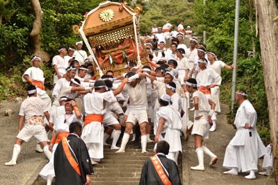 急な石段、迫るみこし　千葉・館山で迫力の「お浜出神事」