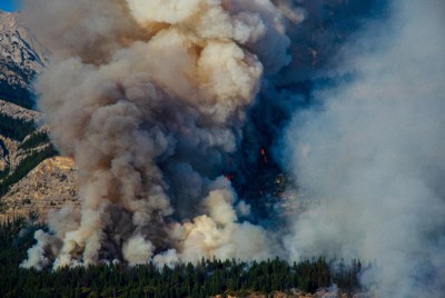 2023年のカナダ山火事のCO2排出量、日本の年間量を上回る