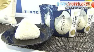 全国1万4000店のローソンで福井県産「いちほまれ」おにぎり販売スタート　2023年は400万個以上販売