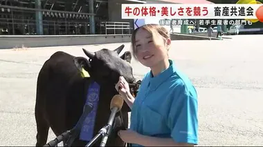 牛の体格や美しさを競う畜産共進会　「おたまちゃん」が若手生産者部門で１等賞に　岩手・雫石町