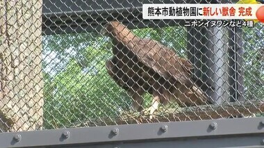 熊本市動植物園にニホンイヌワシなど４種の動物の新獣舎完成