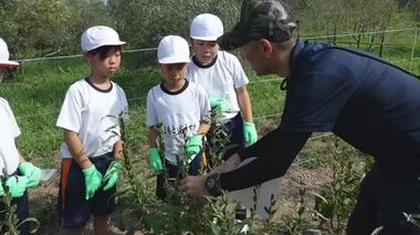 小豆島のゴマ油どうやってできるの？「ゴマ」の収穫から製油を地元小学生が学習【香川・土庄町】