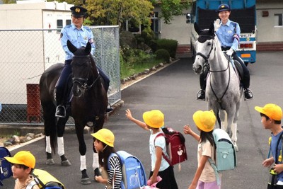 小学生ら、馬に安全な登下校誓う　京都府警の平安騎馬隊が見守り