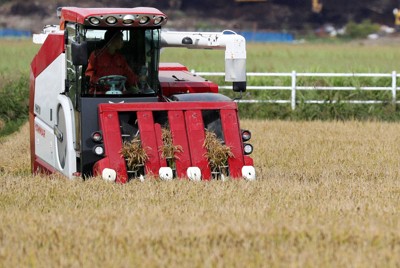 北海道内の小売店で新米販売へ　「ゆめぴりか」コメ不足解消に期待