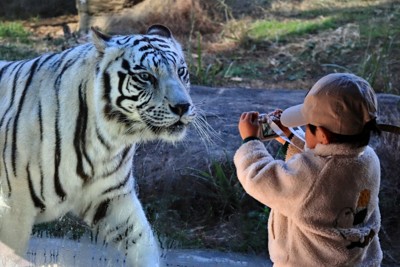 「上手に撮ってね！」　鹿児島の動物園がフォトコン　39点が入賞