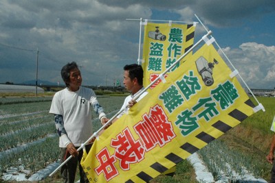 盗難相次ぐ九条ねぎ　農地パトロールで警戒呼びかけ　京都・久御山