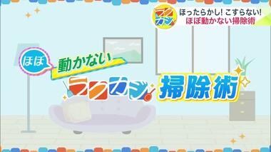 掃除のプロが伝授 ほったらかし！こすらない！ほぼ動かないカンタン掃除術「定期的にやった方がいいけどなかなか気が進まない」を解決【ラクカジ】