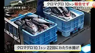 クロマグロの漁獲量１０トン以上報告せず　漁業法違反で気仙沼市の７４歳漁師を書類送検〈宮城〉