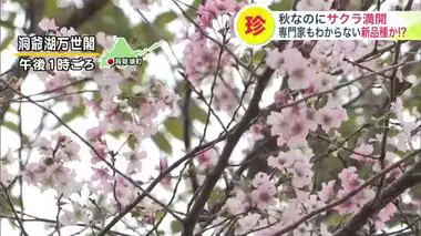 【北海道の天気 9/18(水)】あすは秋晴れ最終日…洗濯物を片づけたい　あさっての雨で季節が進み週末は山からは雪便りも