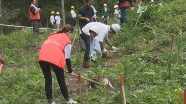 花粉症対策　新見市の森で花粉の少ない品種のスギ植樹【岡山】