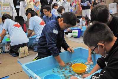 「ポイ」さばき巧みに　初の「金魚すくい甲子園」　北海道・旭川