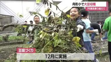 【山形】「世界で一番おいしいと思う」　豪雨に負けず舟形小で大豆収穫・12月に豆腐づくり