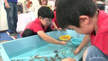 子どものスゴ技に注目！世界一静かなスポーツ”金魚すくい甲子園” 初開催 命の大切さも学ぶ「人に温かい子になって」北海道旭川市