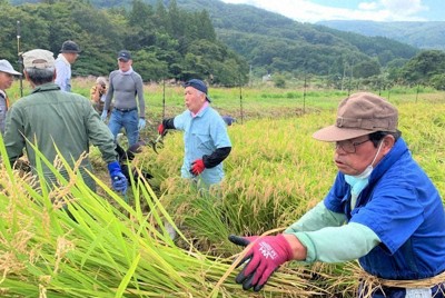 原発事故以来14年ぶりの稲刈り　険しい道のりでも笑顔　福島・浪江