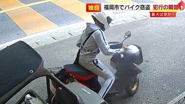 【独自】防犯カメラが捉えた“原付バイク窃盗”　番犬の前でバイクを押しながら逃走も…ガードレールに突っ込む　福岡市