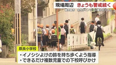 現場に新しい痕跡・警戒続く鹿児島市のイノシシ被害　周辺は通学路　住民から不安の声