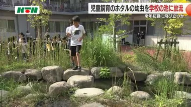 伊良林小の「ホタル池」に初の幼虫放流　大水害の犠牲者慰霊で児童が飼育を継承【長崎市】　