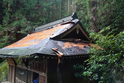 銅板ぶきの神社屋根、盗難被害で地肌むき出し　栃木・足利