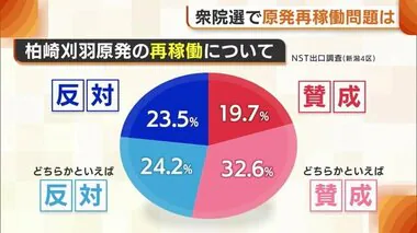 有権者の中でも賛否分かれる“原発再稼働” 選挙戦での主張は…新潟4区自民「地域経済のため再稼働を」 立憲「安全な避難検証・県民の意思確認を」