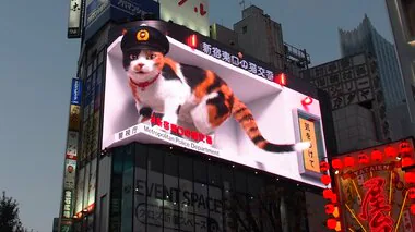 「新宿東口の猫」のイメージモデルに選ばれた三毛猫・ナツコ「根拠のない自信」が採用の決め手に飼い主も思わず納得