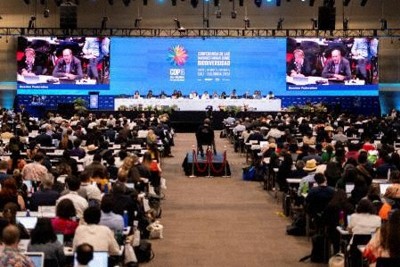 生態系保全の指標案は採択至らず　COP16延長、退席者続出