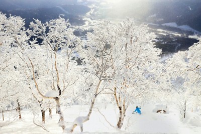 パウダースノーが「べちゃ雪」に?　温暖化でスキー場に打撃