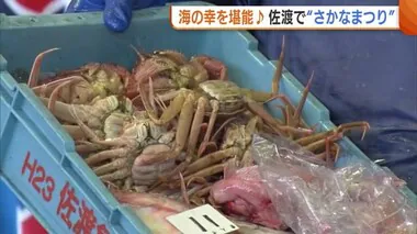 海の幸を堪能♪“素人セリ市”でセリにも挑戦！旬の魚が格安で次々と…「これからも続けてほしい♪」　新潟・佐渡市