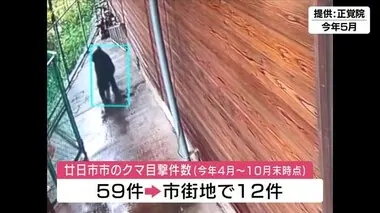 市街地にクマ出没　廿日市市が監視体制を強化　ＩＣＴを活用したカメラ６台設置　広島