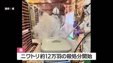 出水市の養鶏場で鳥インフル　ニワトリ１２万羽の殺処分開始　鹿児島