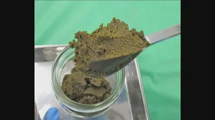 大麻成分を含むペースト状の健康食品をスリランカから輸入　中部国際空港で名古屋税関の麻薬探知犬が発見　34歳男を逮捕「自分で使用するため」大麻取締法違反の疑い