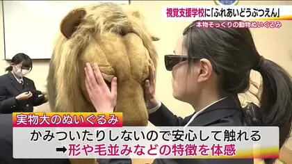 ライオンやキリンに触れる　本物そっくり！ぬいぐるみの動物園　視覚支援学校に開園　福島市